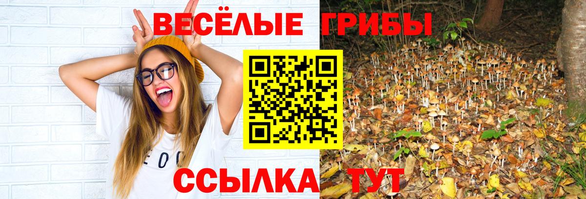 Галлюциногенные грибы мицелий  Вход с VPN  Псилоцибиновые грибы GOLDEN TEACHER  Партизанск 
